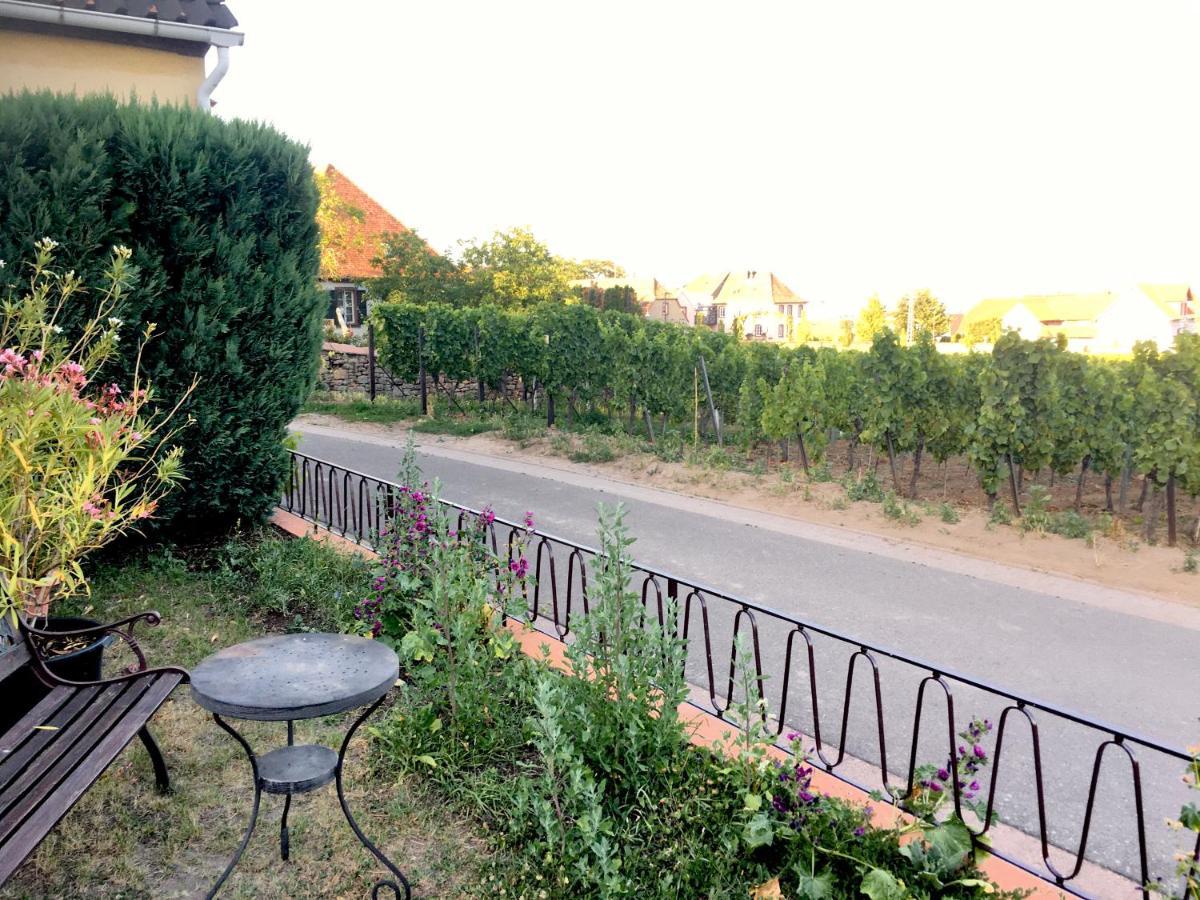 Ferienwohnung Suedpfalzblick Бурвайлер Экстерьер фото